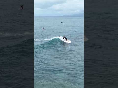 2 foot wave #surfing #cutback #2footwave #surfers #hawaii