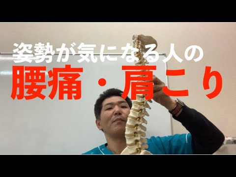 姿勢が気になる人の腰痛・肩こり