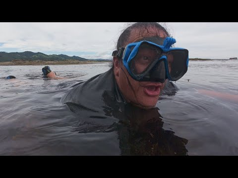 Hori & Rangi at Waihau Bay, Bay of Plenty New Zealand 4K EP 2