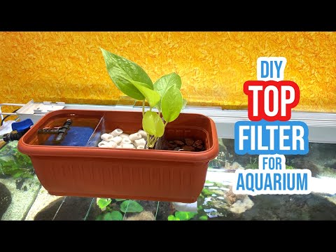 Transform Your Fish Tank: DIY Aquarium Top Filter that Thrives!