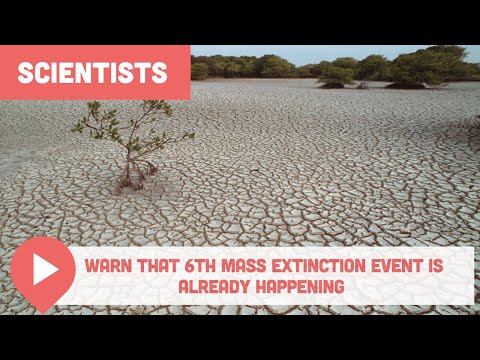 Scientists Warn That 6th Mass Extinction Event Is Already Happening