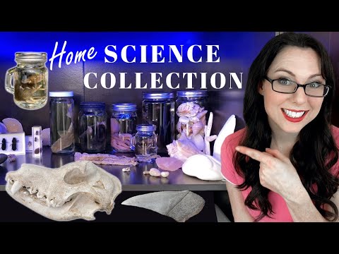 Home SCIENCE Collection: EPIC!