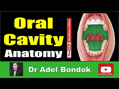 Anatomy of the Oral Cavity, Dr Adel Bondok Making Anatomy Easy