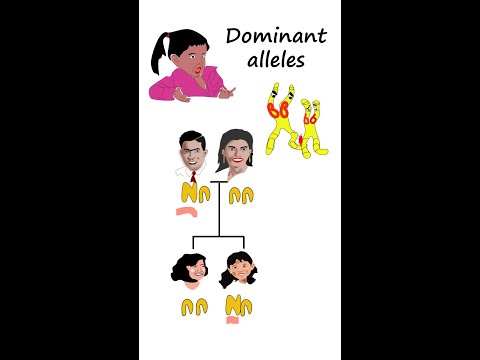 Dominant allele #shorts