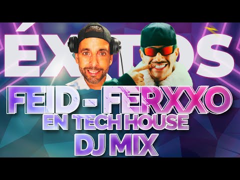 FEID Grandes Éxitos Mix  |(Normal, Chorrito pa las animas, Luna, Classy 101, La Inocente) JAREZ DJ