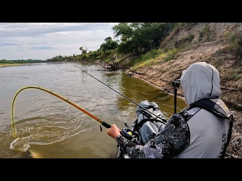 3 DAYS Kayak Fishing For BIG FISH!! (Kayak Camping)