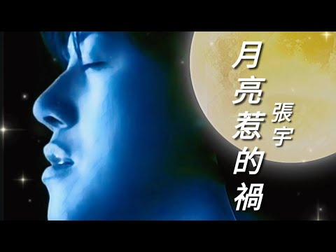 《月亮惹的禍》張宇