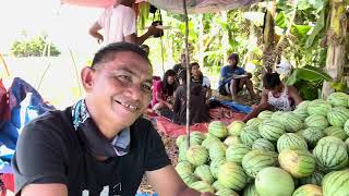 Harvesting watermelon 🍉 #watermelon #farmerslife #buhayprobinsya