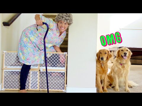 Crazy Grandma Pranks My Dogs!