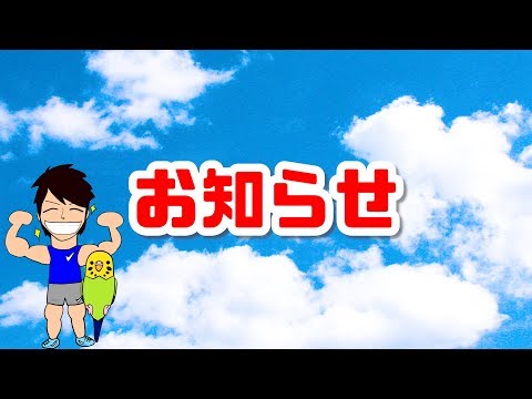 「雑談＆質問回答生放送」実施のお知らせ！日時が合う方は是非！