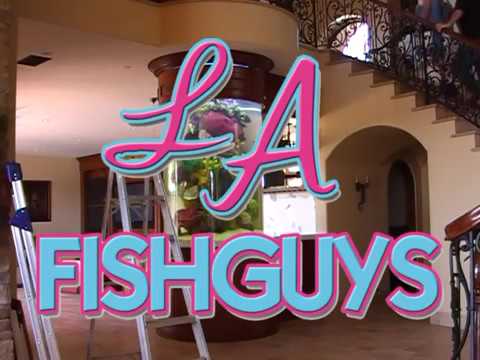 Cylinder Aquarium Inspection, LA Fishguys, Episode Eleven