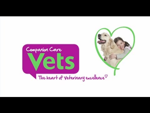 Companion Care Veterinary Services