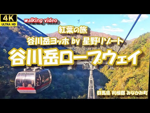 紅葉の旅 谷川岳ロープウェイ 4K【お散歩シリーズ】 群馬県 利根郡 みなかみ町 谷川岳ヨッホ 星野リゾート 24年10月21日