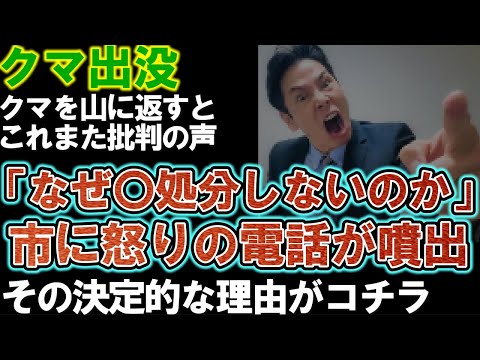 クマ駆除に抗議の電話続出。「なぜ〇処分しないのか」福島県の"こたつクマ"を山に返したら批判の声が続出。