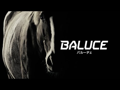 【TVCM】バルーチェ サラブレッド篇 30秒【BAL大橋産業公式】