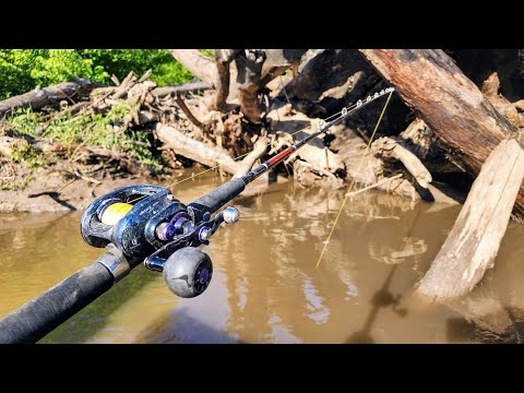 LIVE BAIT Fishing Brushpiles!! (Kayak Fishing)