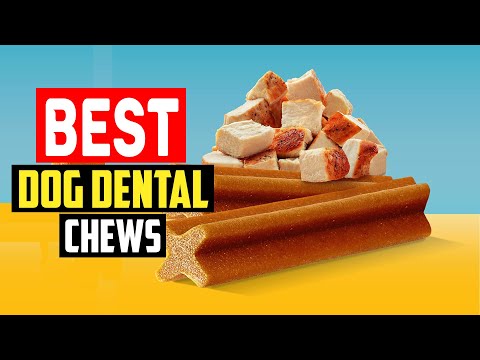 ✅Best Dog Dental Chews in 2023