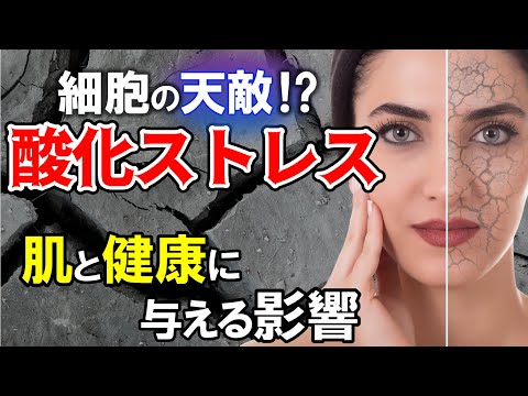 【 細胞の天敵❗️】酸化ストレスが 肌 と 健康 に与える影響とは！