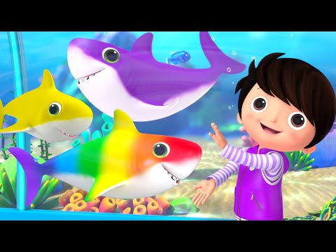 Colorful Sharks and Baby Shark Dance Party! | Fun Baby Songs | Classic Baby Songs