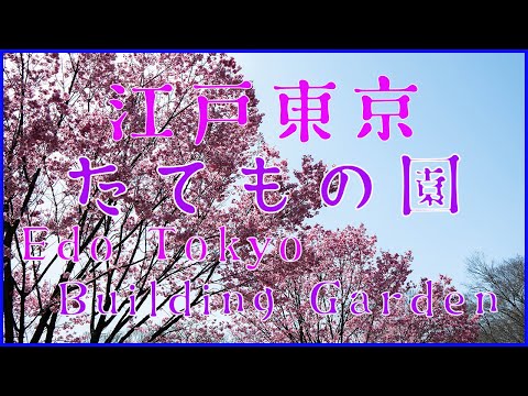 古き良き東京でさんぽ