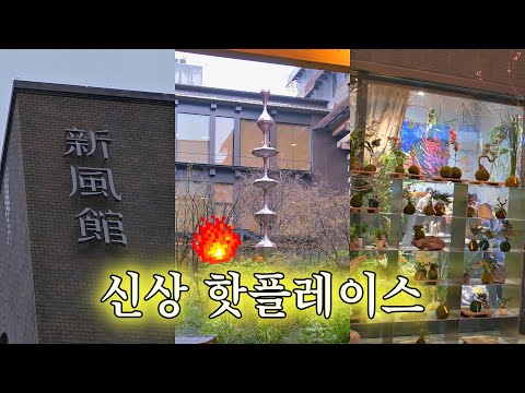 [일상] 요즘 뜨는 교토 신푸칸 다녀왔어요 🔥 (일본 일상 / JAPAN VLOG)