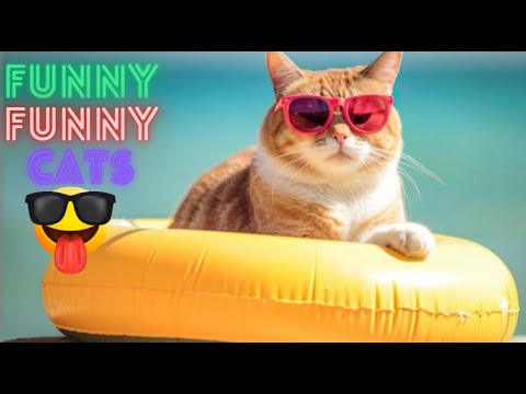 Funny Cats And Dogs Videos Try Not To Laugh 😺😍 Funny Videos Of Cats And Dogs 😹 Part 53