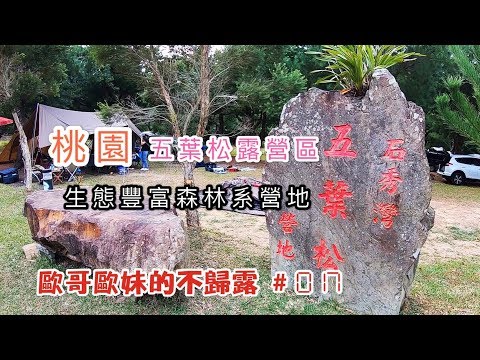 【親子露營】桃園   五葉松露營區 生態豐富森林系營地《歐哥歐妹的不歸露 #17》