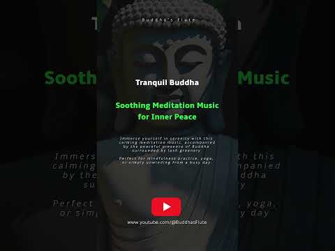 Tranquil Buddha | Soothing Meditation Music for Inner Peace