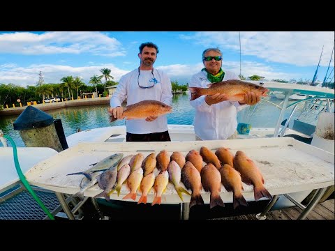 FATHER SON SNAPPER SLAM | WAY TOO MANY SHARKS