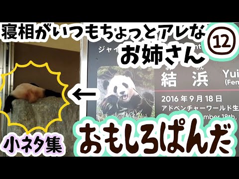 小ネタ集🐾おもしろぱんだ⑫