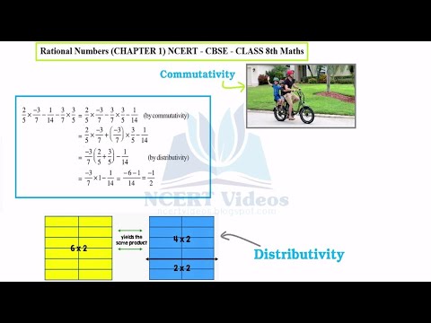 Rational Numbers - Maths Class 8th - Ex 1.1 - Chapter 1 - NCERT - CBSE