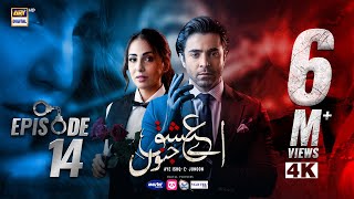 Aye Ishq e Junoon Episode 14 | Ushna Shah | Sheheryar Munawar | 24 Dec 2024 (Eng Sub) | ARY Digital