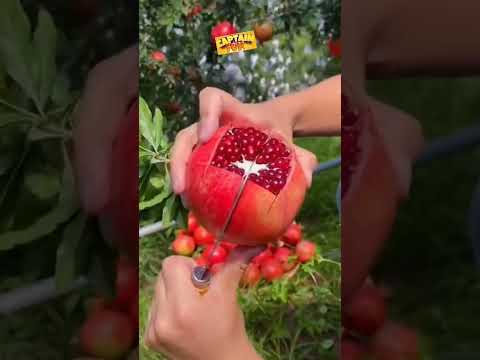 Pomegranate Cutting| ASMR | Relaxing #shortsvideo #viral