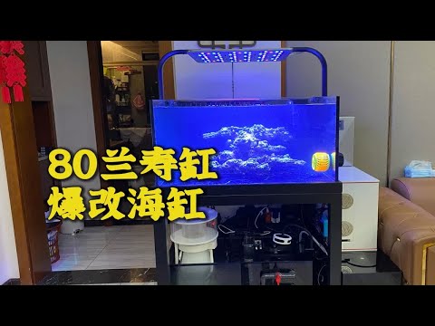 80兰寿缸爆改海缸 保姆级开缸