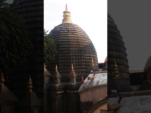 Kamakhya Temple। कामाख्या मंदिर दर्शन।#kamakhya