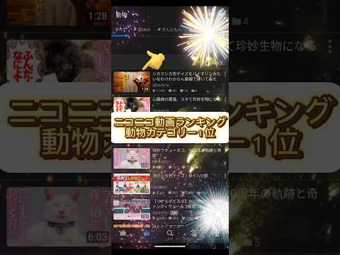 ニコニコ動画ランキング１位になって、しかのこ公式に認知された日記 #しかのこのこのここしたんたん #コスプレ #シカ色デイズ #ニコニコ #champion #strohviolin #violin