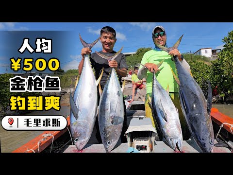 "Mauritius" Episode 4: Tuna fishing is so easy, too many tuna