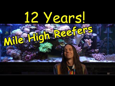 12 Years of Mile High Reefers Speaking From the Heart