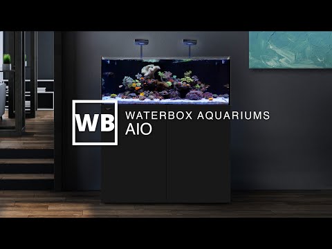 Waterbox Aquariums AIO Overview