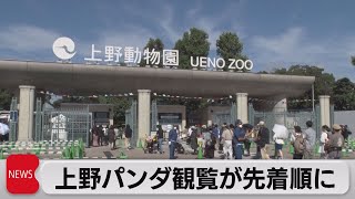 上野の双子パンダ　観覧が先着順に（2022年10月4日）