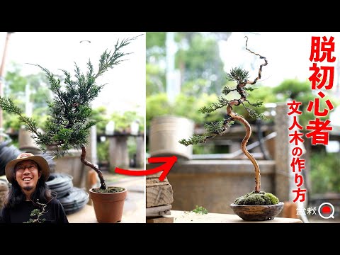 How to make a literati tree from shinpaku materials [Bonsai Q]