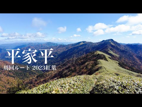 【登山】平家平 周回ルート 四国の紅葉絶景稜線を歩いて来ました。