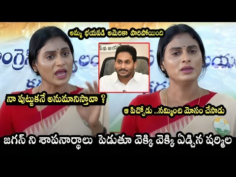 YS Sharmila Revealed YS Jagan Cheating Infront Of Media