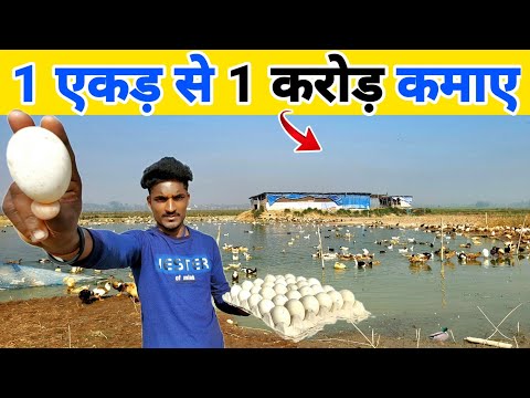 25 साल के लड़के ने एक एकड़ से एक करोड़ कमाए | 🦆 Duck farm tour