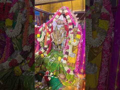 Tiruttani  Murugar Temple#divine #spritual #divine