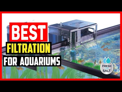 ✅The 5 Best Filtration Systems for Aquariums of 2023