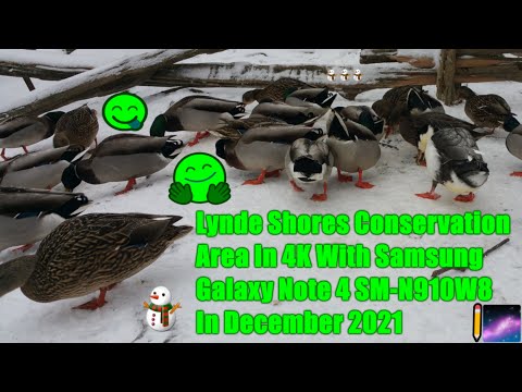 Lynde Shores Conservation Area In 4K With Samsung Galaxy Note 4 SM-N910W8 In December 2021