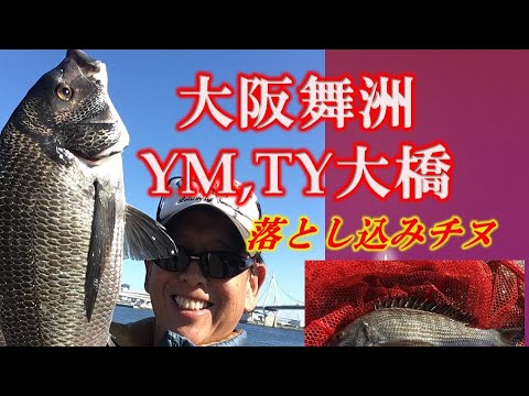 大阪舞洲　YM夢舞大橋　TY常吉大橋でチヌの落とし込み釣り！エサ代０円！魚影濃い！簡単黒鯛ヘチ釣り　フジツボ