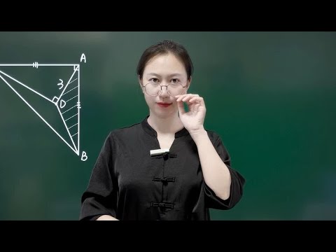 预习就找我！初二数学全等三角形内三垂直练习题#初中数学