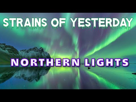 Strains of Yesterday - Northern Lights